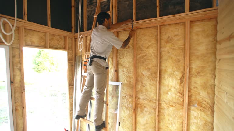 Best Insulation Air Sealing  in Riley, KS